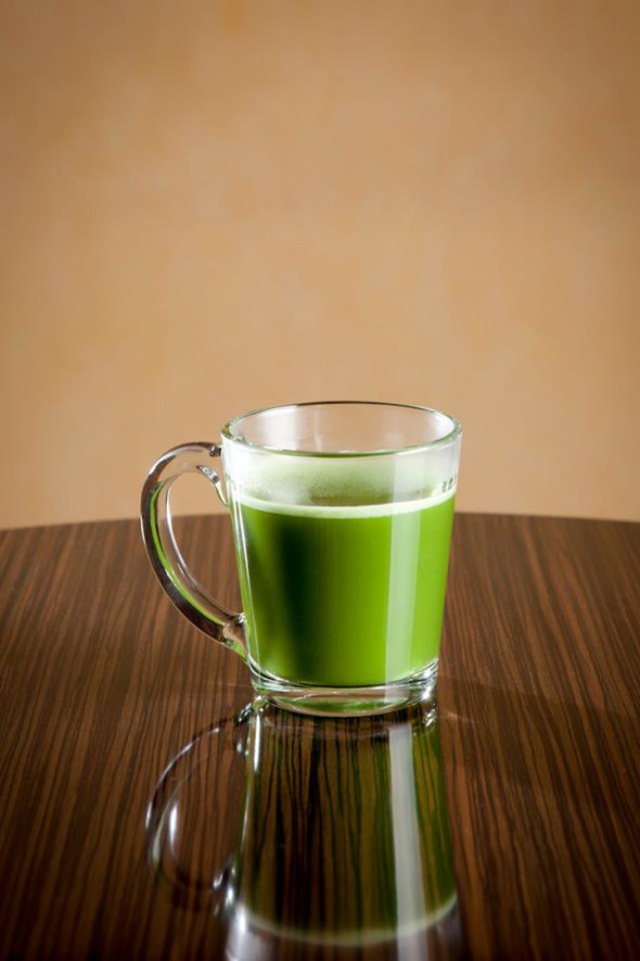 Matcha - top medzi zelenými čajmi! 