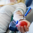 Ako sa správne pripraviť na darovanie krvi?
