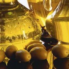 Staňte sa znalcom olivového oleja